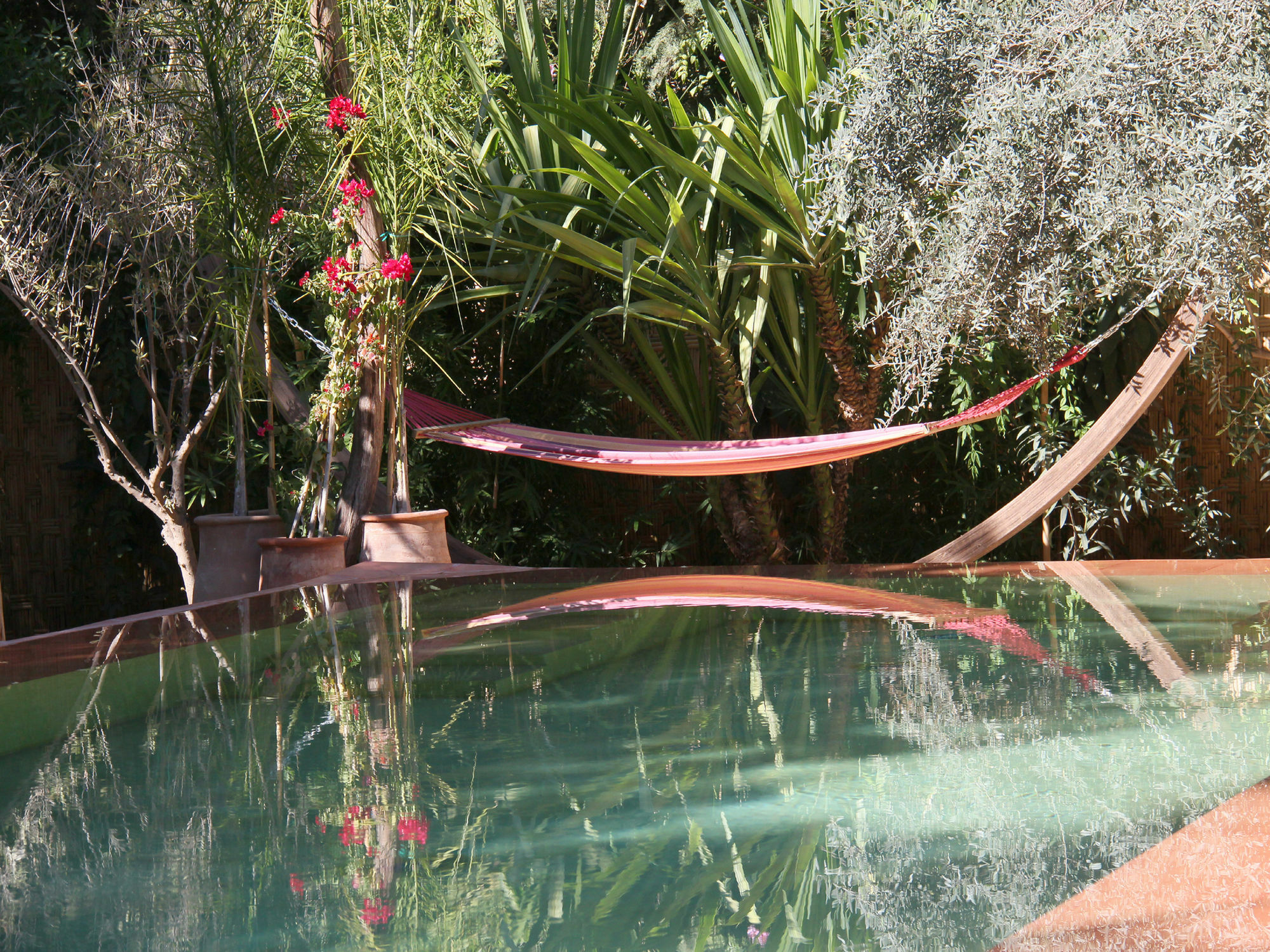 Le Jardin Touagana - Campement & Lodge Touggana ภายนอก รูปภาพ