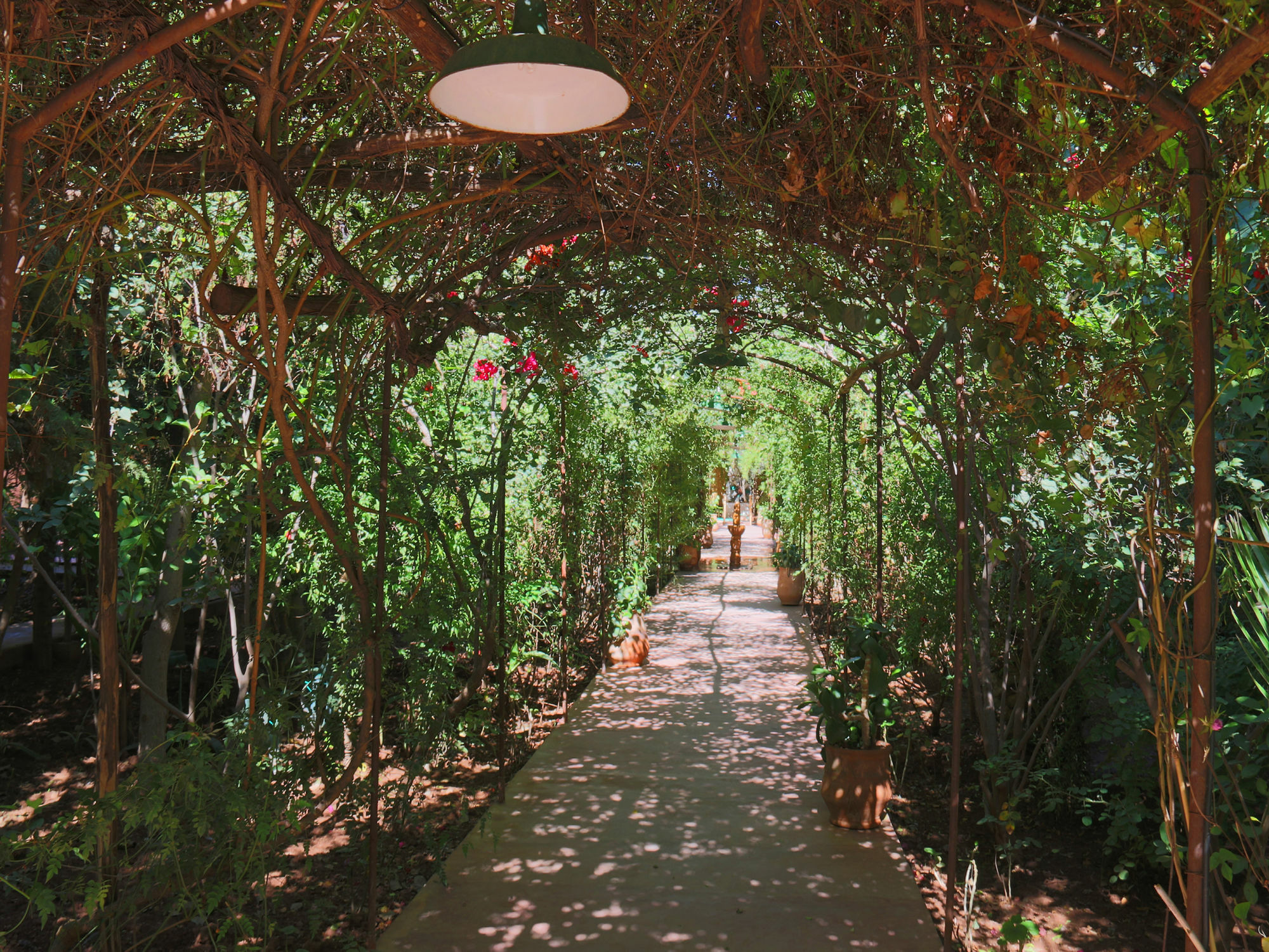 Le Jardin Touagana - Campement & Lodge Touggana ภายนอก รูปภาพ